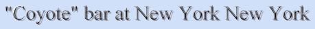 Coyote Bar New York New York